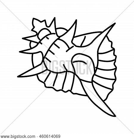 Murex Sea Shell Beach Line Icon Vector. Murex Sea Shell Beach Sign. Isolated Contour Symbol Black Il