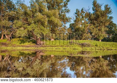 Idyllic Pripyat River With Mirror Water Reflections And Line Of Trees  Along The Shore. Horizontal S