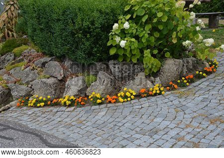Perennial Flower Beds With Annual Flowers On The Edge Of The Flower Bed In The Paving In The Square 