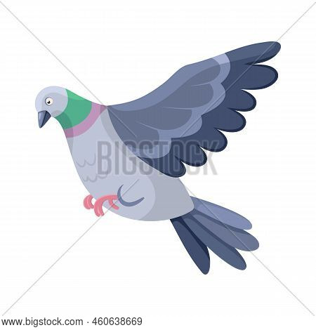 Cartoon Pigeon In Flight In Flat Style. Cute Colorful City Bird. Isolated Element For Design. Pictur