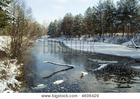 Skov floden på vinter