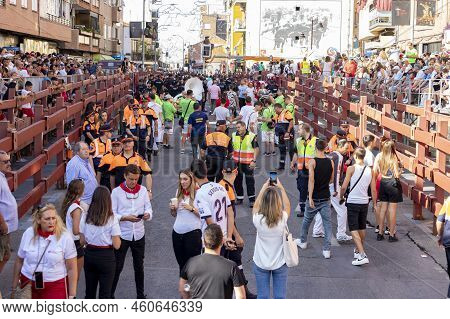 Running Of The Bulls. Bulls. Bull Runs. Encierro That Is Celebrated In The Town Of San Sebastian De 