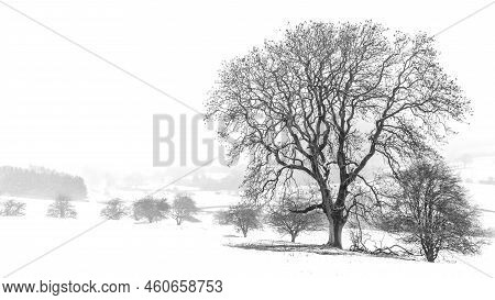 White Christmas Snow On Otley Chevin, West Yorkshire