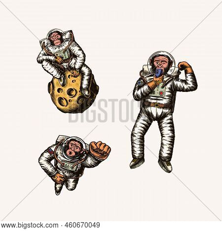Monkey Astronaut With Whale, Guitar, Skateboard And Moon. Chimpanzee Spaceman Cosmonaut Characters S