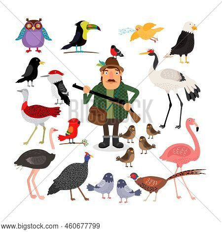 Hunter Holding A Shotgun. A Variety Of Birds, Flamingos, Eagle, Owl, Sparrows And Pigeons. Fowling. 