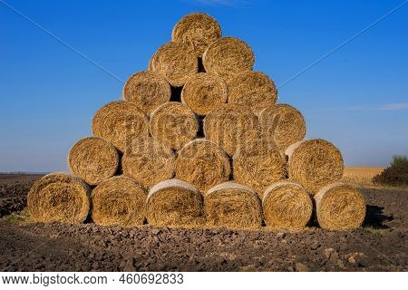 Rolls Of Bales Of Straw Or Hay For The Winter In The Shape Of A Pyramid