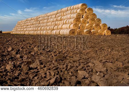 Straw Bales Stacked In A Pyramid Shaped Pile On A Plowed Field, Arable Land