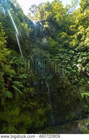 A Small Waterfall In Summer At The Levada Do Caldeirao Verde, Queimadas, Madeira