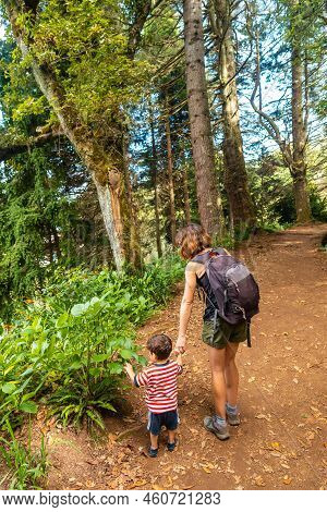A Mother With Her Son On The Forest Path, Summer In The Levada Do Caldeirao Verde, Queimadas, Madeir
