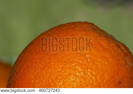 Macro Photo Orange Fruit. Stock Photo Orange Fruits Background.