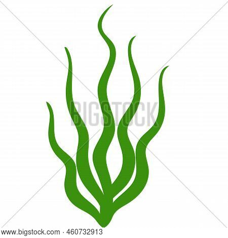 Cute Aquarium Plants. Vector Illustration In Cartoon Style