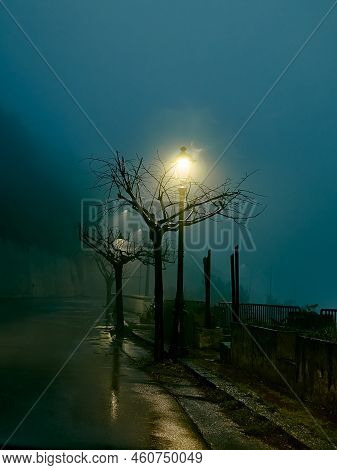 Leafless Trees Lit By The Street Lamps Along The Misty Road On A Rainy Night. Spooky Glossop Street 