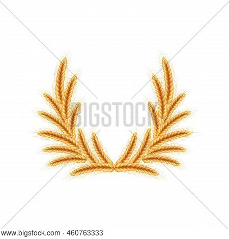 Realistic Illustration Of Seed Plants,organic Farming Farming.ripe Spikelets Of Wheat With Grains,ea