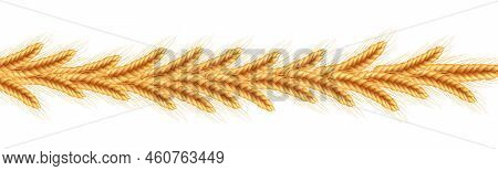 Realistic Illustration Of Seed Plants,organic Farming Farming.ripe Spikelets Of Wheat With Grains,ea