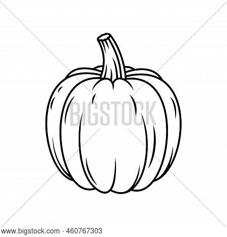 Pumpkin Vegetable Food And Farm Harvest Veggie, Vector Line Icon. Pumpkin Outline, Food Cooking Ingr