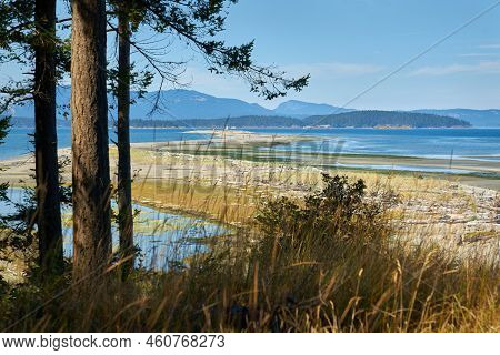 Sidney Spit Vancouver Island Bc. Sidney Spit On Sidney Island Near Victoria. Part Of The Gulf Island