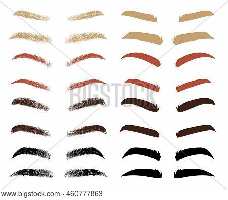 Different Shapes And Colors Of Eyebrows Vector Illustrations Set. Thin And Thick Eyebrows Of Men Or 