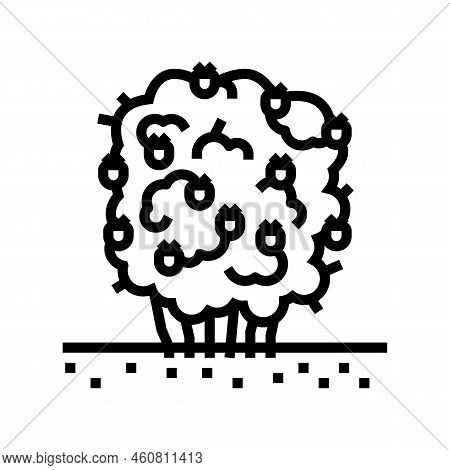 Green Blackberry Bush Line Icon Vector. Green Blackberry Bush Sign. Isolated Contour Symbol Black Il