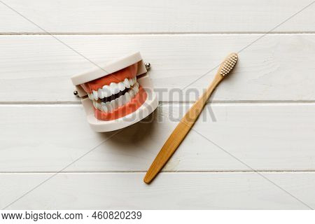 Closeup Model Of A Human Jaw With White Teeth And Toothbrush. Dentistry Conceptual Photo. Prosthetic