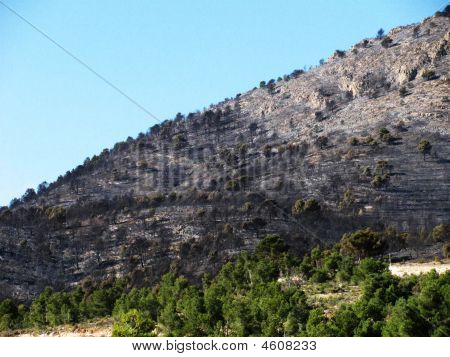 Brûlé