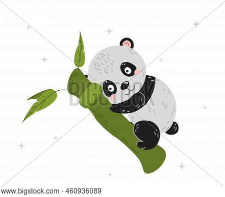 Cute Panda On Tree. Adorable And Charming Asian Animal Trying To Climb Bamboo. Japan Or China Wildli