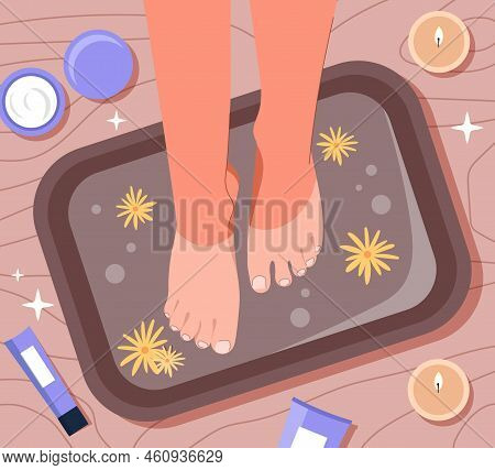Feets In Basin. Spa And Beauty Treatments, Health And Care. Youth And Hygiene. Beautiful Legs Of Wom