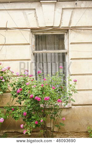 Old Window