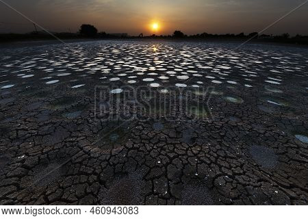 Idyllic Landscape Of Dried Fish Pond In Hong Kong