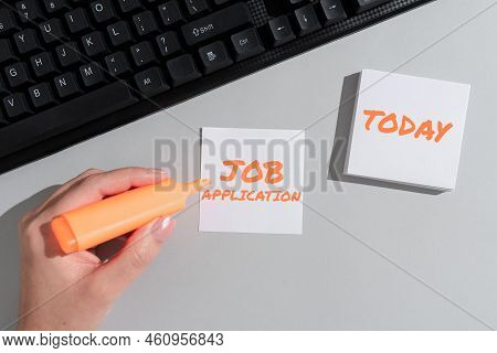 Conceptual Display Job Applicationthe Standard Business Document Serves A Number Of Purposes. Concep