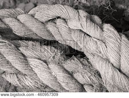 A Carelessly Thrown Away Old Rope From A Cutter, Ship.