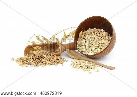 Oat Grains With Hulls Or Husks In Wooden Scoop And Oats Groats Rolled And Flattened Into Flakes Isol