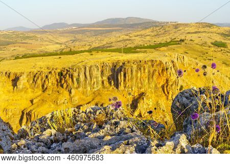 View Of Wildflowers And The Cliffs Of Mount Nitai In The Background, In Mount Arbel, Northern Israel