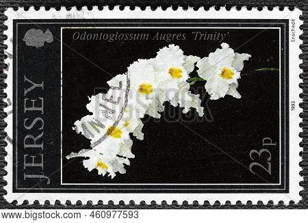 Jersey - Circa 1993: A Stamp Printed In Jersey Showing A Odontoglossum Augres Trinity, Circa 1993.