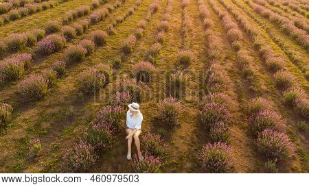 Drone Video Of Free And Happy Young Woman Run In Pink And Purple Lavender Fields At Sunset