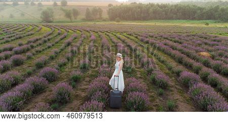 Drone Video Of Free And Happy Young Woman Run In Pink And Purple Lavender Fields At Sunset