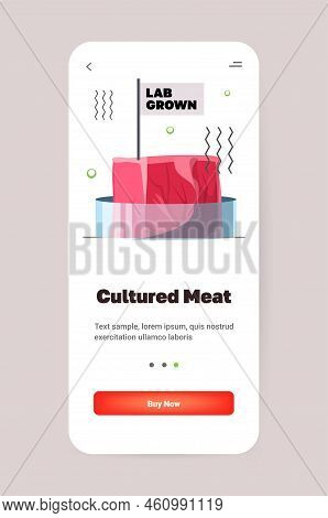 Cultured Raw Red Meat Made From Animal Cells Artificial Lab Grown Meat Production Concept
