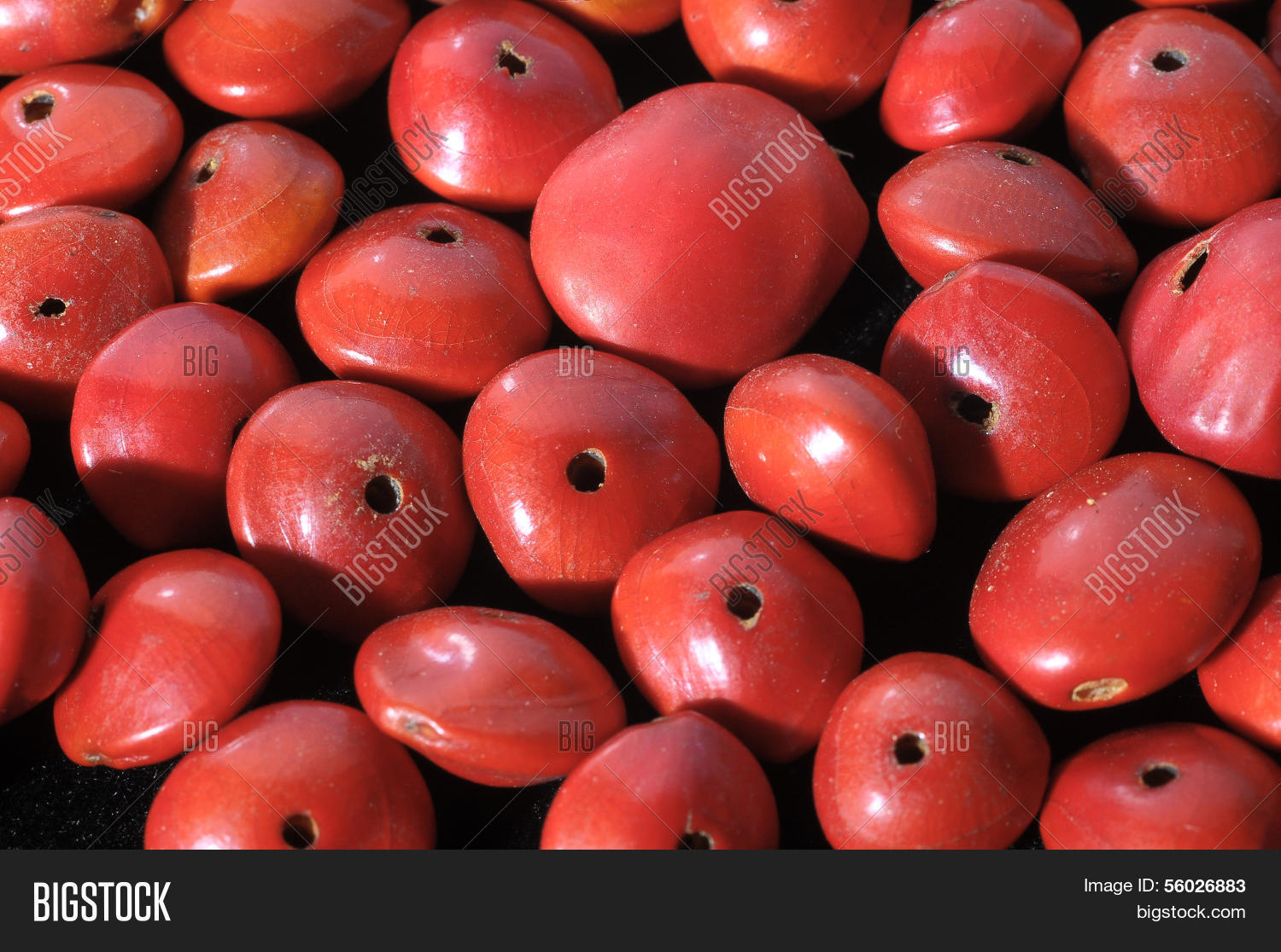 Colored Round Seeds Image & Photo (Free Trial) Bigstock