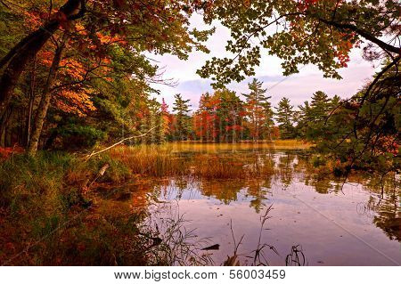 A Time To Reflect