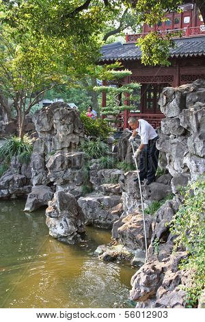 Gardener Cleaning A Pond In Yuyuan Gardens, Shanghai, China