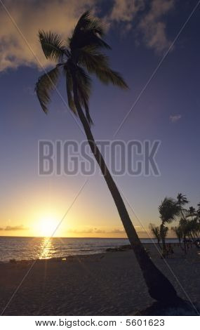Gün batımı - Bayahibe Beach - Dominik Cumhuriyeti
