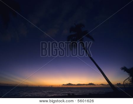 Dark Sunset - Bayahibe - Dominik Cumhuriyeti