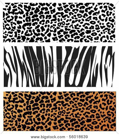 Animal skin pattern
