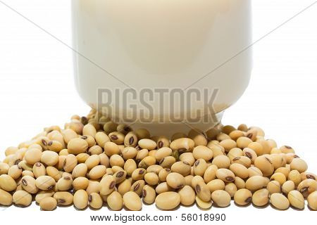 Soymilk and soy beans over white background