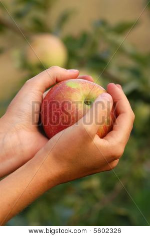 Apple в руках женщины