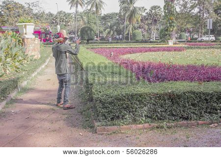 Workers Gardening