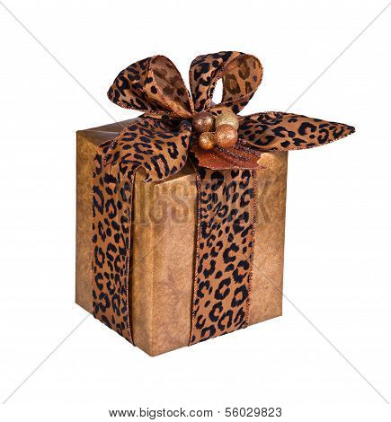 Festive gift wrapped present isolated