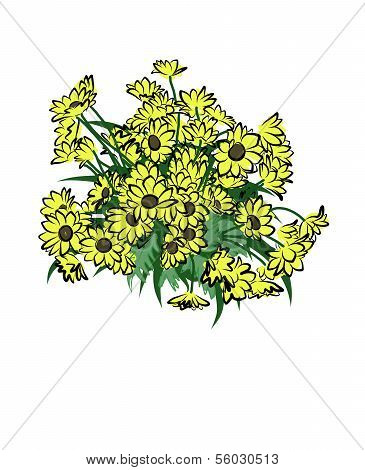 Vector Of Flower