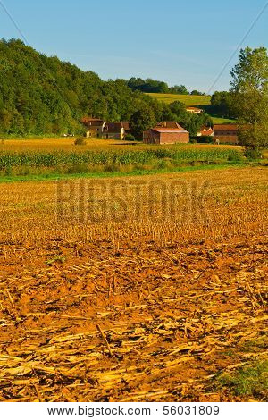 After Harvest