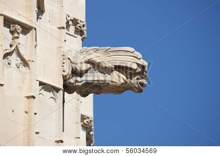 Gargoyle at La Lonja Monument