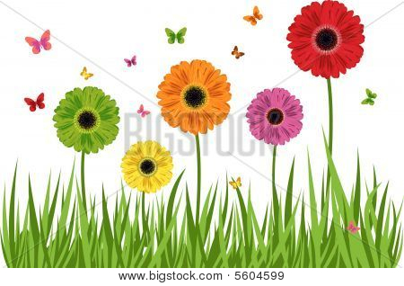 Gerbera s květinou